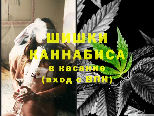 прущие грибы Лагань