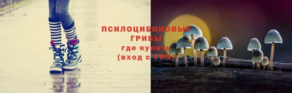 прущие грибы Лагань