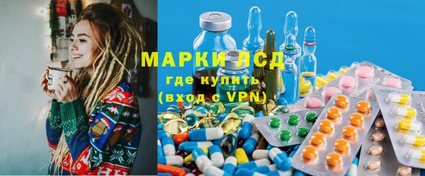 индика Жердевка