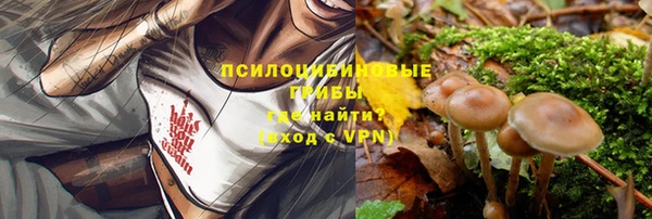 марки nbome Ладушкин