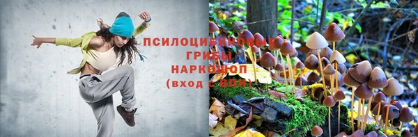 прущие крисы Лабытнанги
