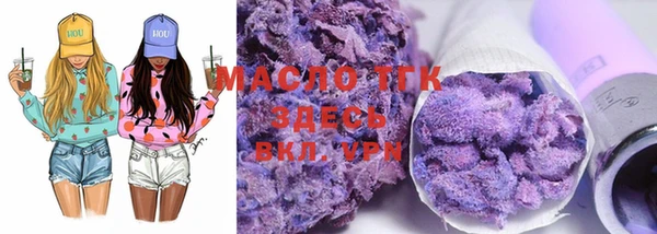 индика Жердевка