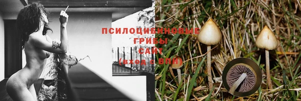прущие крисы Лабытнанги