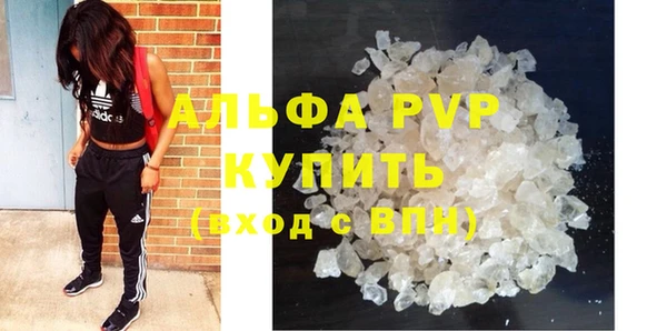 прущие грибы Лагань